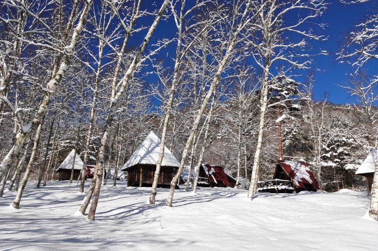 TARAS BOULBA(タラスブルバ)のニュース | 【2/18開催】Snow Camps 2023 supported by TARAS BOULBA